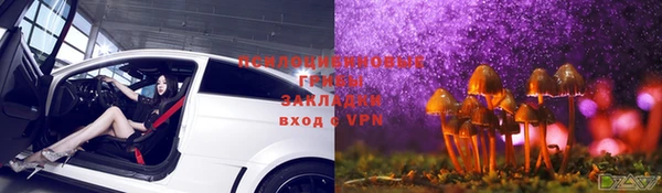 эйфоретик Арсеньев