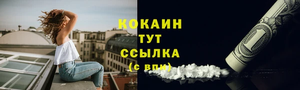 шишки Армянск