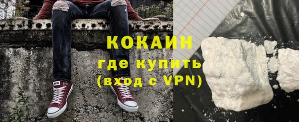 шишки Армянск