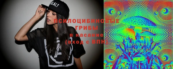 эйфоретик Арсеньев