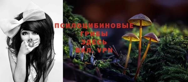 Альфа ПВП Осташков