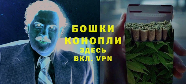 эйфоретик Арсеньев
