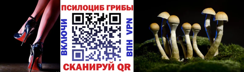 Псилоцибиновые грибы ЛСД  купить наркоту  Хотьково 